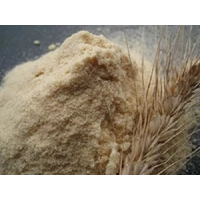 Dried Extract Malt (AB Food)