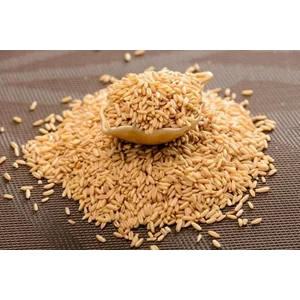 Malt extract